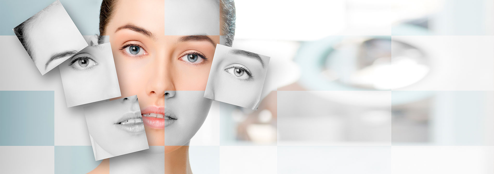shutterstock_202832599